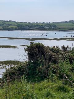 Looking back towards the western edge of Appledore